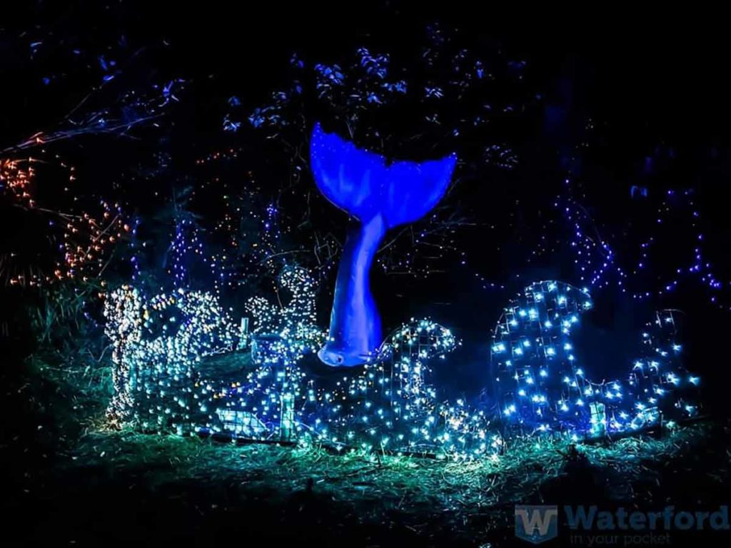 Winterval Ireland